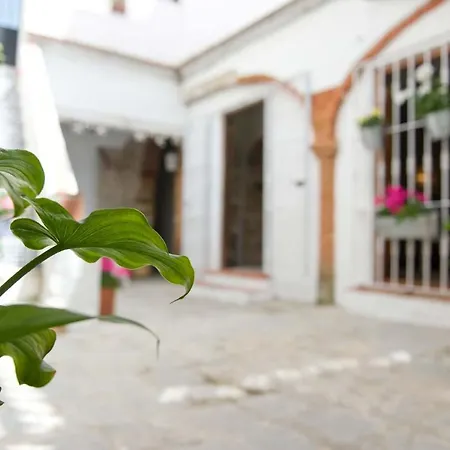Apartment Old Town - Centro Ciudad